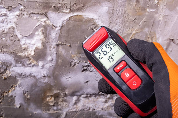 Best Residential Mold Removal  in Atwood, KS