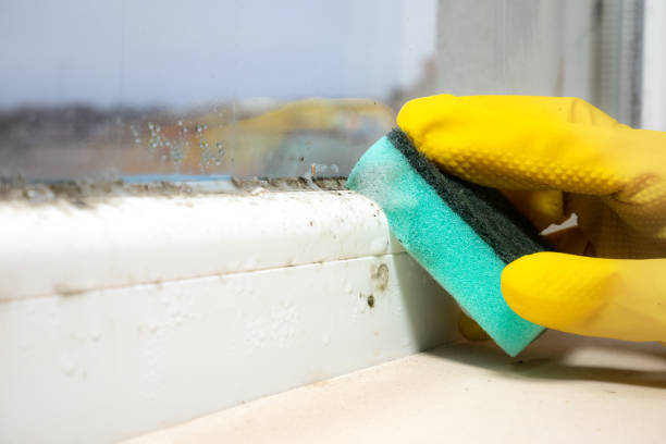 Best Residential Mold Removal  in Atwood, KS