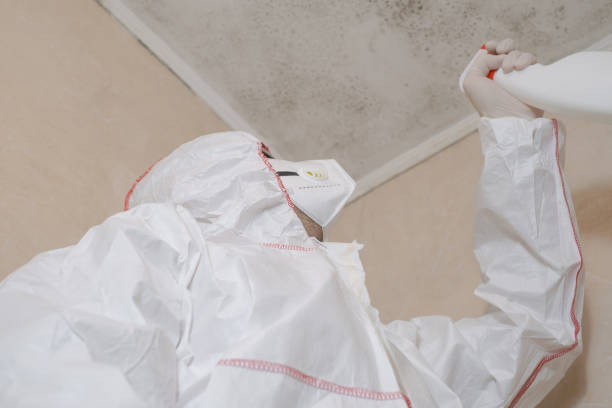 Best Mold Testing and Removal  in Atwood, KS