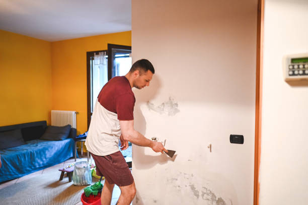 Best Local Mold Removal Service  in Atwood, KS